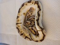 20150626_170438.jpg