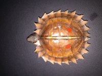 IMG_0097.JPG