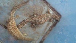 20150726_113933.jpg