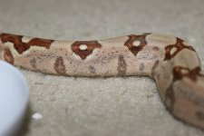 IMG_5477.jpg