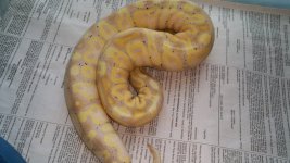 20150405_175355.jpg