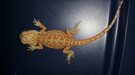 20150626_182821.jpg