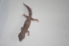 IMG_3326.jpg
