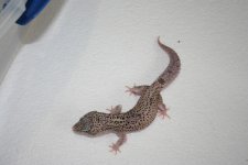 IMG_3327.jpg