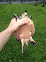 image[7].jpeg