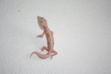 IMG_3338.jpg
