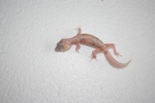 IMG_3339.jpg