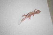 IMG_3340.jpg