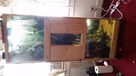 20150604_120255.jpg