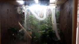 20150604_120754.jpg