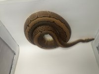 IMG_1569.jpg