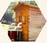 Honey Flow Hive.JPG