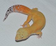 kcel14m1-56.jpg