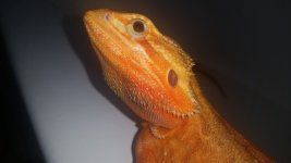 20150428_121340.jpg
