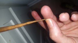 20150519_115920.jpg