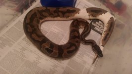 M8 pics 3443.jpg