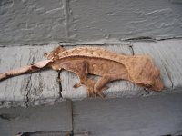 3679757_orig.jpg