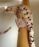 IMG_1131.jpg