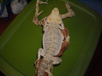 DSCN0278.jpg