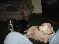 IMG_0502.jpg