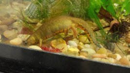 20141223_132201.jpg