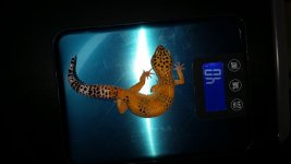 20150719_193115.jpg