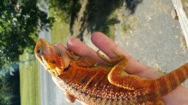 20150919_154134.jpg