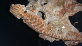 20150731_200823.jpg