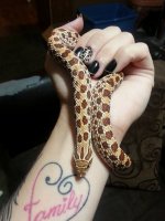 hognose.jpg