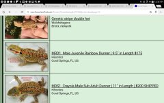 Screenshot_2015-11-16-12-32-49.jpg