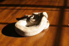 IMG_8885.jpg