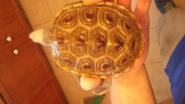 20151014_110642.jpg