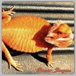 IMG_3472.JPG