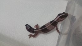 20150603_182748.jpg