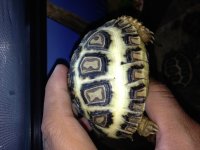 IMG_0733[1].jpg