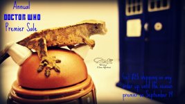 doctor who sale 2015.jpg doctor who sale 2015.jpg