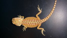 20150529_173700.jpg