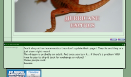 IMG_1801.PNG