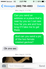 IMG_1204.PNG