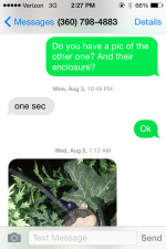 IMG_1205.PNG