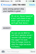 IMG_1213.PNG