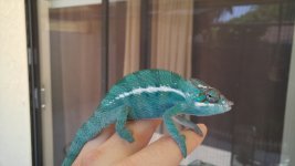 20150629_100252.jpg