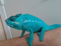20150606_194230.jpg
