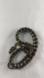 Female4_10-4.jpg