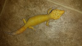 20151101_133813.jpg