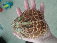 20150619_082123.jpg