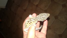 20151101_151314.jpg