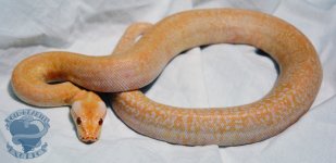 DSC_2397.jpg
