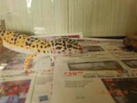DSCN1590.jpg