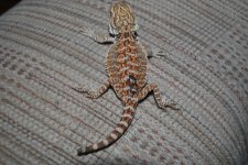 DSC_0587.jpg